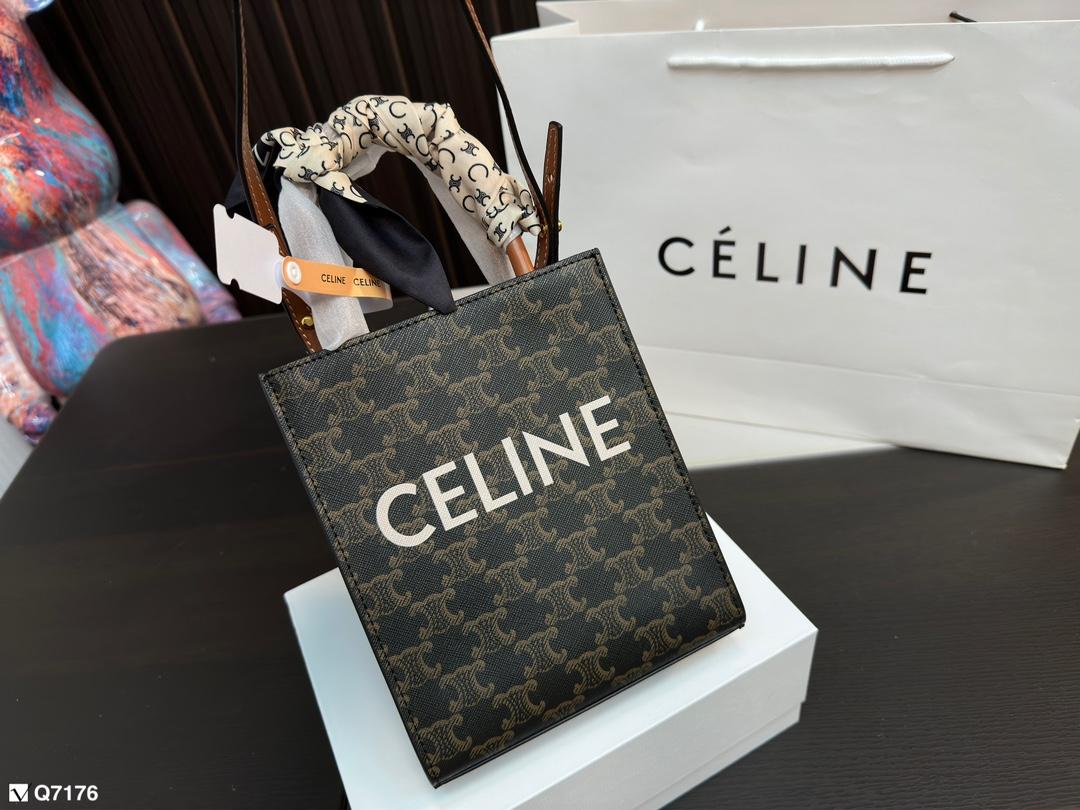 Replica Celine Bag 20x16cm