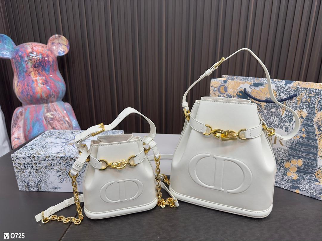 Replica Dior Bag 16x17cm & 24x25cm